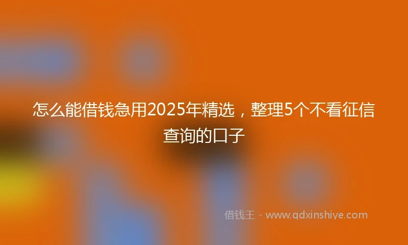 怎么能借钱急用2025年精选，整理5个不看征信查询的口子