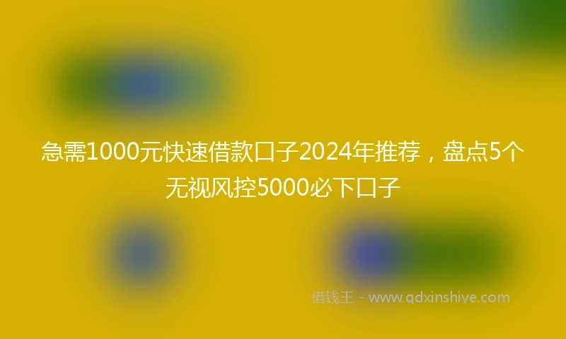 急需1000元快速借款口子2024年推荐，盘点5个无视风控5000必下口子