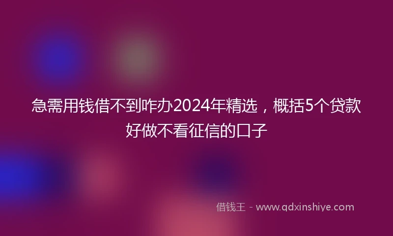 急需用钱借不到咋办2024年精选，概括5个贷款好做不看征信的口子