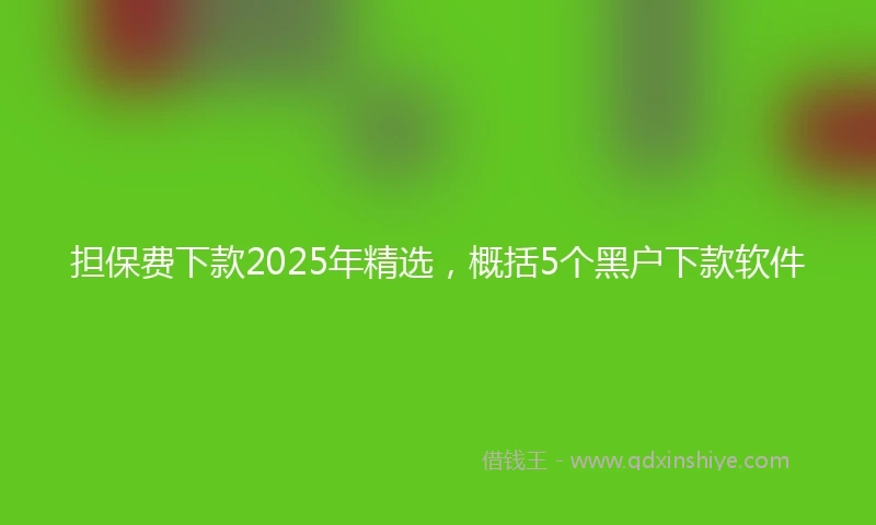 担保费下款2025年精选，概括5个黑户下款软件