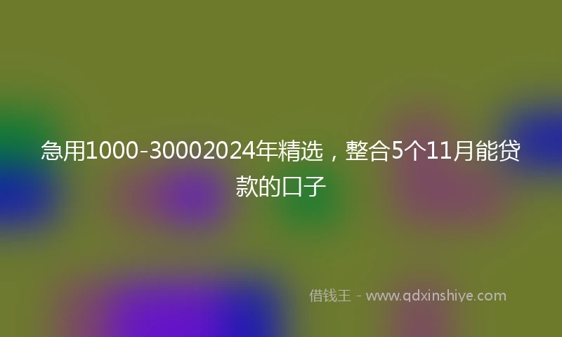 急用1000-30002024年精选，整合5个11月能贷款的口子