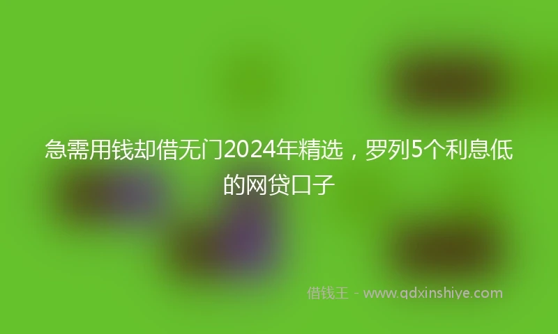 急需用钱却借无门2024年精选，罗列5个利息低的网贷口子