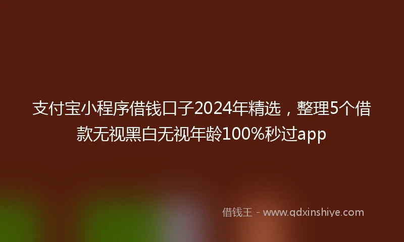 支付宝小程序借钱口子2024年精选，整理5个借款无视黑白无视年龄100%秒过app
