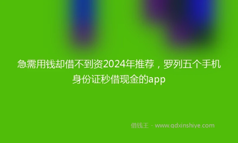 急需用钱却借不到资2024年推荐，罗列五个手机身份证秒借现金的app