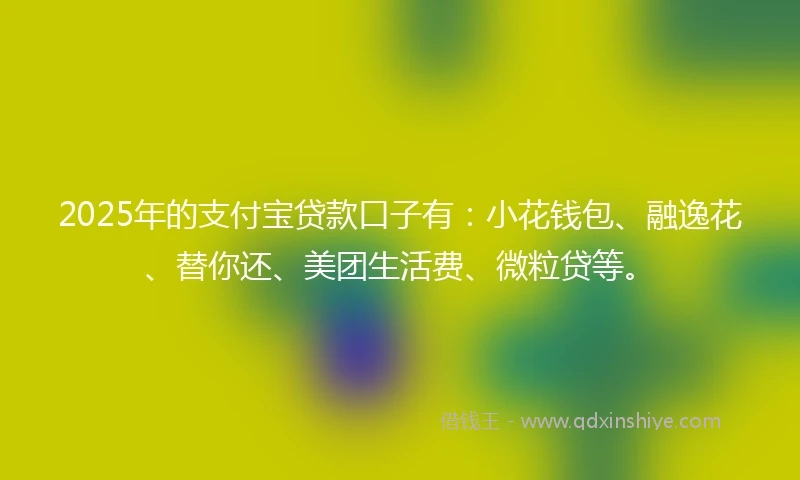 2025年的支付宝贷款口子有：小花钱包、融逸花、替你还、美团生活费、微粒贷等。