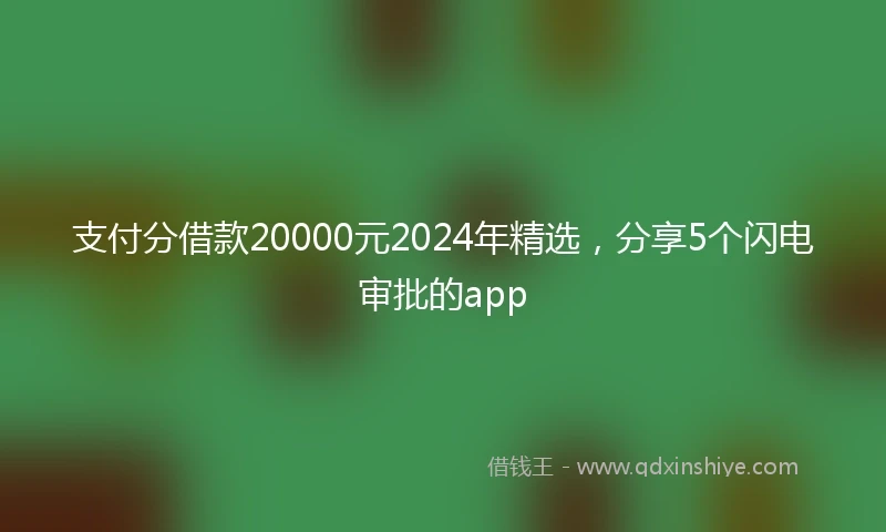 支付分借款20000元2024年精选，分享5个闪电审批的app