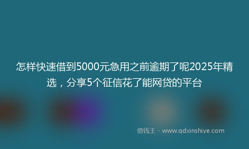 怎样快速借到5000元急用之前逾期了呢2025年精选，分享5个征信花了能网贷的平台