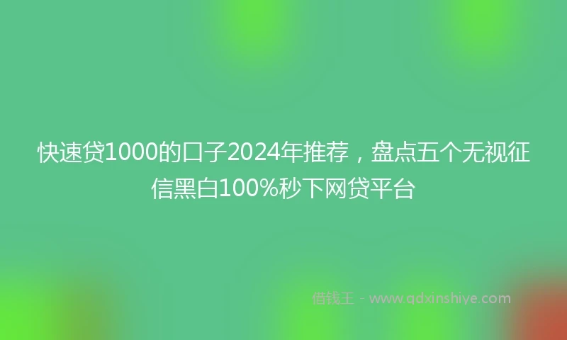 快速贷1000的口子2024年推荐，盘点五个无视征信黑白100%秒下网贷平台