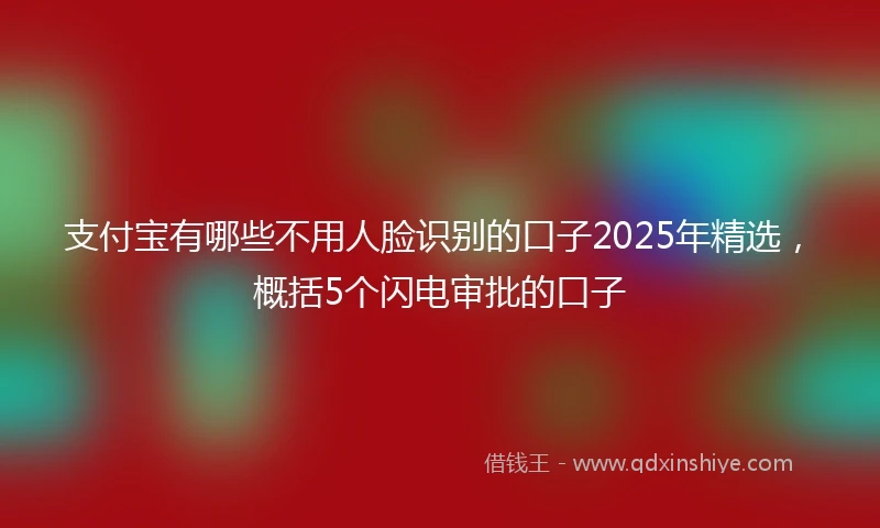 支付宝有哪些不用人脸识别的口子2025年精选，概括5个闪电审批的口子