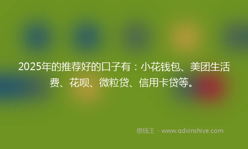 2025年的推荐好的口子有：小花钱包、美团生活费、花呗、微粒贷、信用卡贷等。