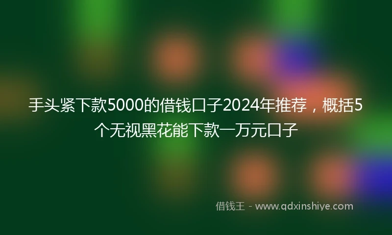 手头紧下款5000的借钱口子2024年推荐，概括5个无视黑花能下款一万元口子