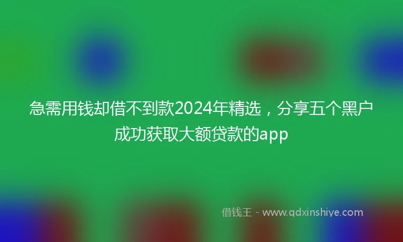 急需用钱却借不到款2024年精选，分享五个黑户成功获取大额贷款的app