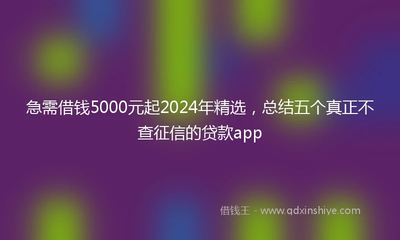 急需借钱5000元起2024年精选，总结五个真正不查征信的贷款app