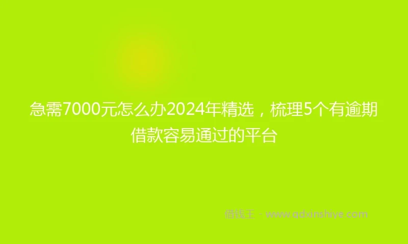 急需7000元怎么办2024年精选，梳理5个有逾期借款容易通过的平台