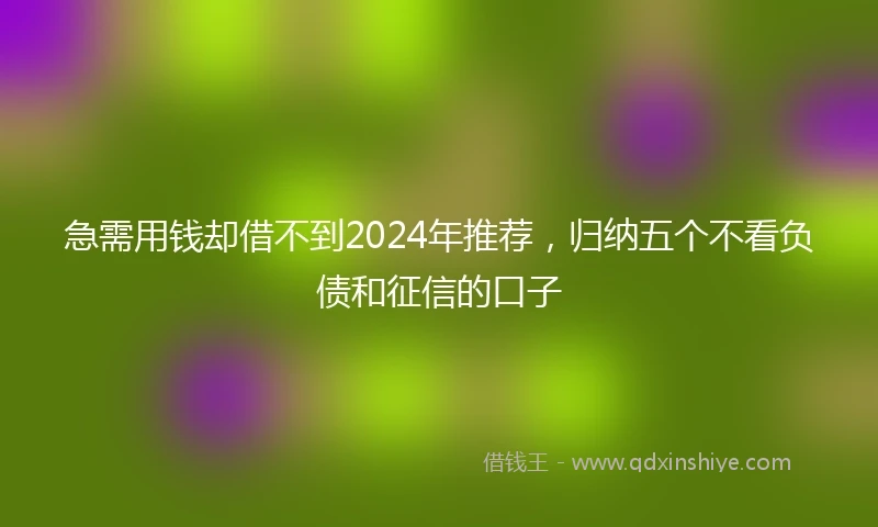 急需用钱却借不到2024年推荐，归纳五个不看负债和征信的口子