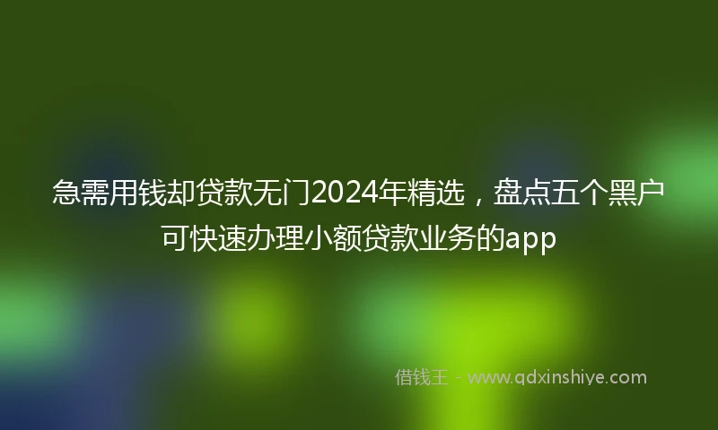 急需用钱却贷款无门2024年精选，盘点五个黑户可快速办理小额贷款业务的app