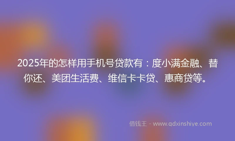 2025年的怎样用手机号贷款有：度小满金融、替你还、美团生活费、维信卡卡贷、惠商贷等。