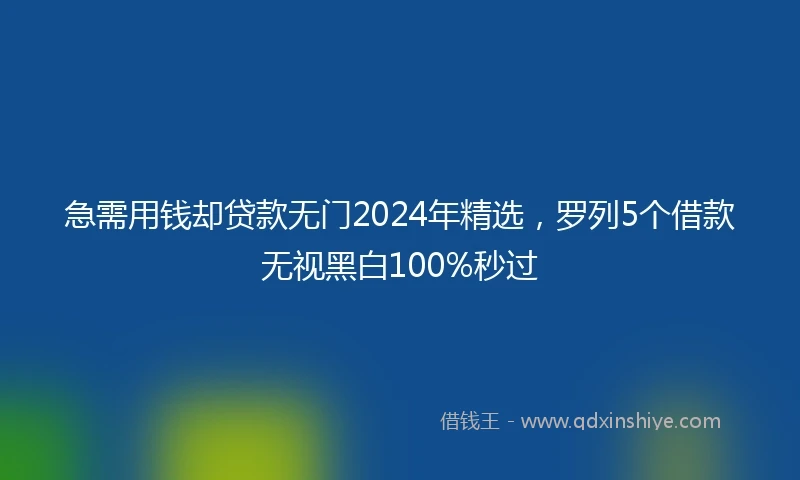 急需用钱却贷款无门2024年精选，罗列5个借款无视黑白100%秒过