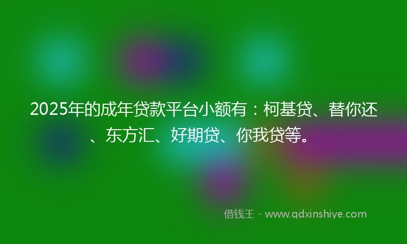 2025年的成年贷款平台小额有：柯基贷、替你还、东方汇、好期贷、你我贷等。