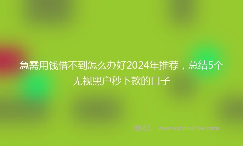 急需用钱借不到怎么办好2024年推荐，总结5个无视黑户秒下款的口子