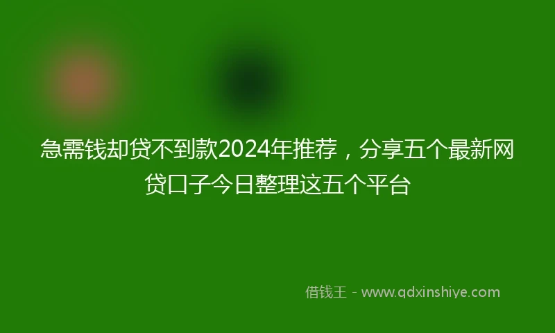 急需钱却贷不到款2024年推荐，分享五个最新网贷口子今日整理这五个平台