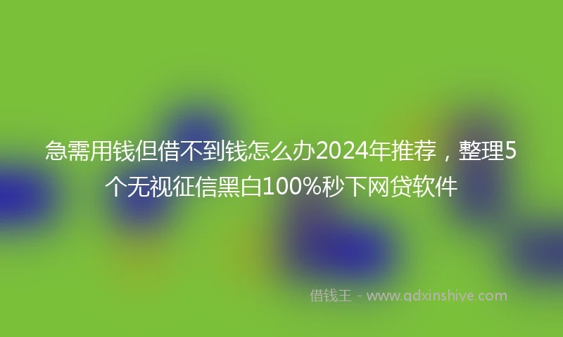 急需用钱但借不到钱怎么办2024年推荐，整理5个无视征信黑白100%秒下网贷软件