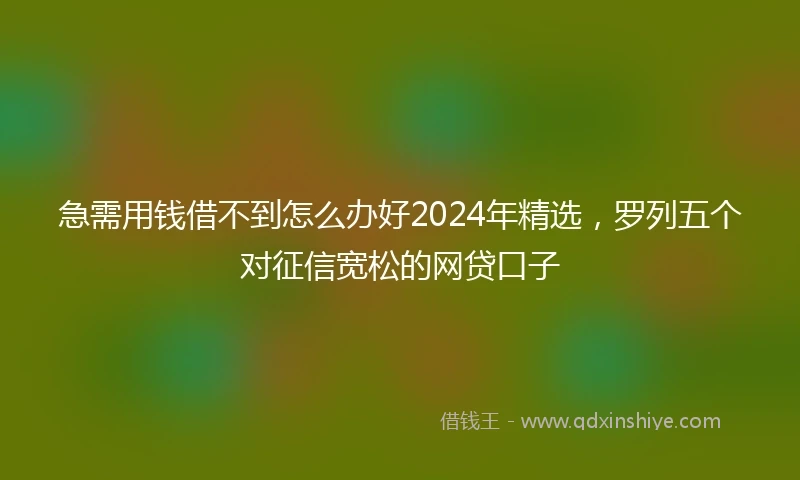 急需用钱借不到怎么办好2024年精选，罗列五个对征信宽松的网贷口子