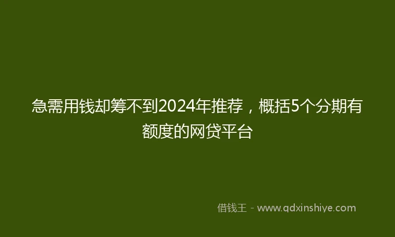 急需用钱却筹不到2024年推荐，概括5个分期有额度的网贷平台