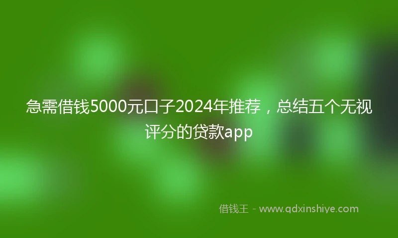 急需借钱5000元口子2024年推荐，总结五个无视评分的贷款app