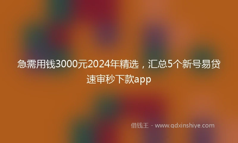 急需用钱3000元2024年精选，汇总5个新号易贷速审秒下款app