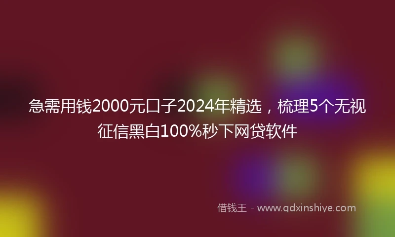 急需用钱2000元口子2024年精选，梳理5个无视征信黑白100%秒下网贷软件