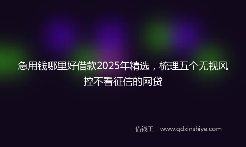 急用钱哪里好借款2025年精选，梳理五个无视风控不看征信的网贷