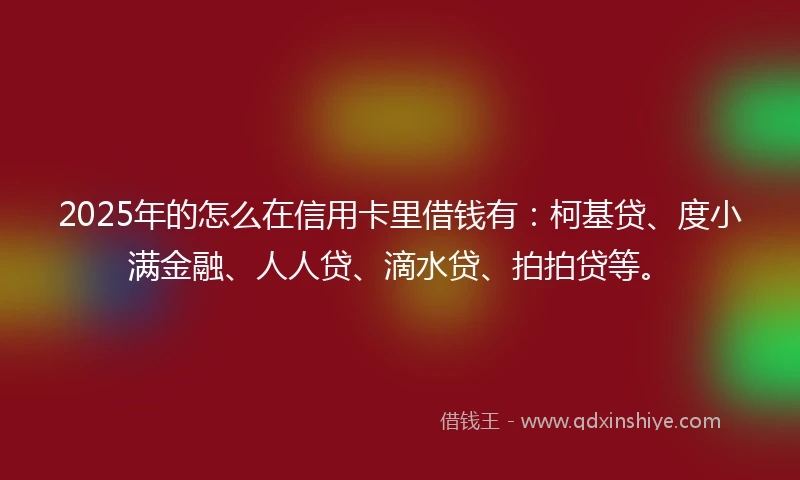 2025年的怎么在信用卡里借钱有：柯基贷、度小满金融、人人贷、滴水贷、拍拍贷等。