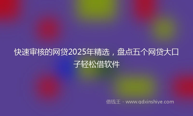 快速审核的网贷2025年精选，盘点五个网贷大口子轻松借软件