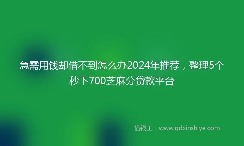 急需用钱却借不到怎么办2024年推荐，整理5个秒下700芝麻分贷款平台
