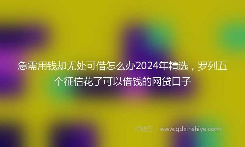 急需用钱却无处可借怎么办2024年精选，罗列五个征信花了可以借钱的网贷口子