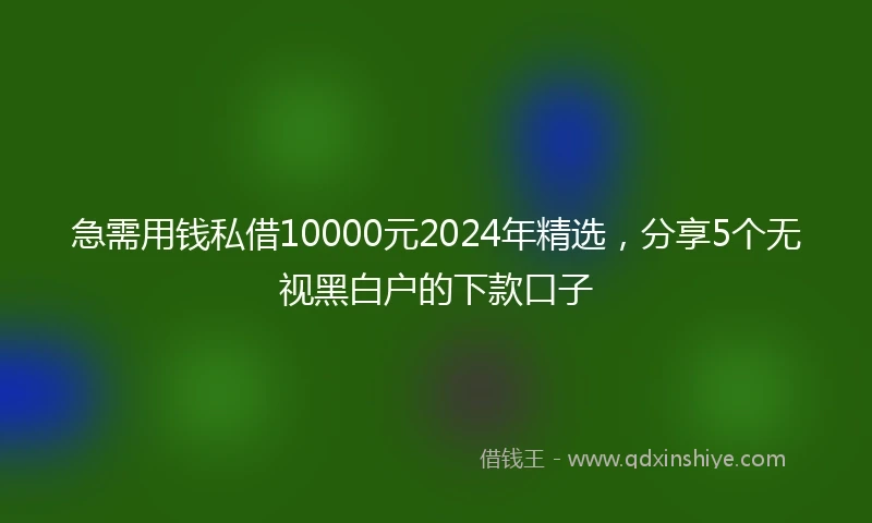 急需用钱私借10000元2024年精选，分享5个无视黑白户的下款口子