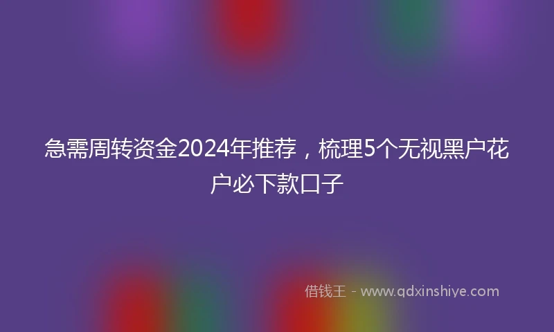 急需周转资金2024年推荐，梳理5个无视黑户花户必下款口子