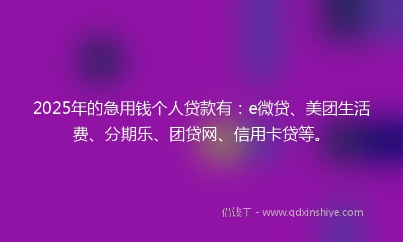 2025年的急用钱个人贷款有：e微贷、美团生活费、分期乐、团贷网、信用卡贷等。