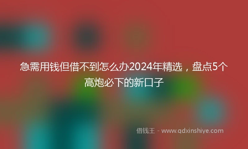 急需用钱但借不到怎么办2024年精选，盘点5个高炮必下的新口子