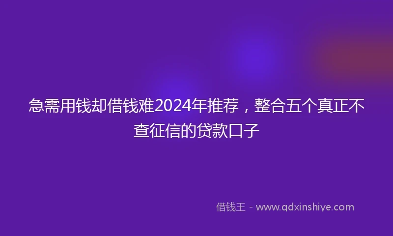 急需用钱却借钱难2024年推荐，整合五个真正不查征信的贷款口子