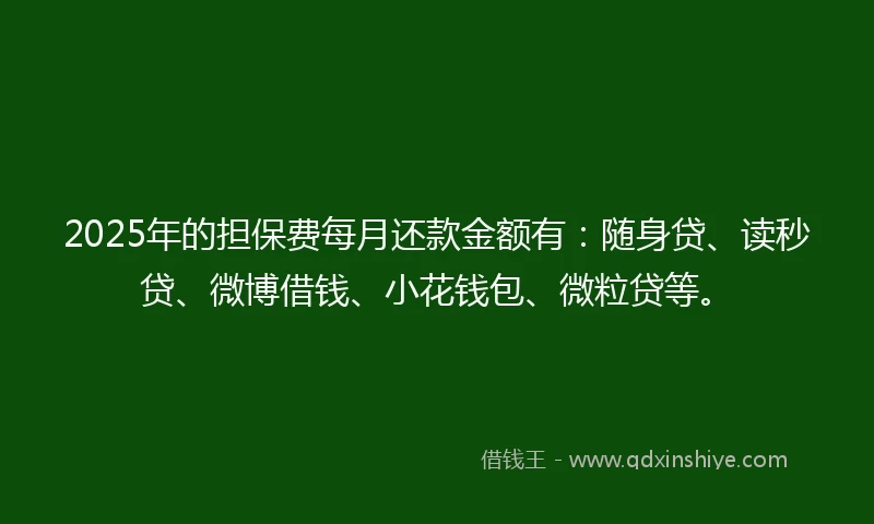 2025年的担保费每月还款金额有：随身贷、读秒贷、微博借钱、小花钱包、微粒贷等。