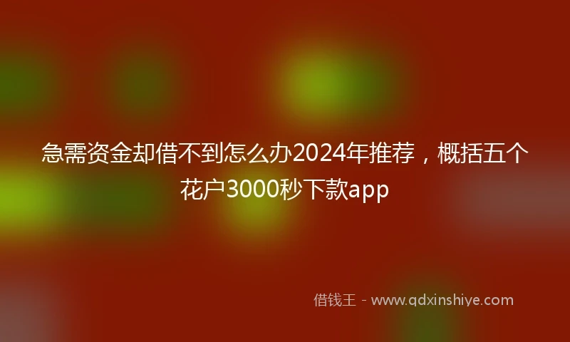 急需资金却借不到怎么办2024年推荐，概括五个花户3000秒下款app