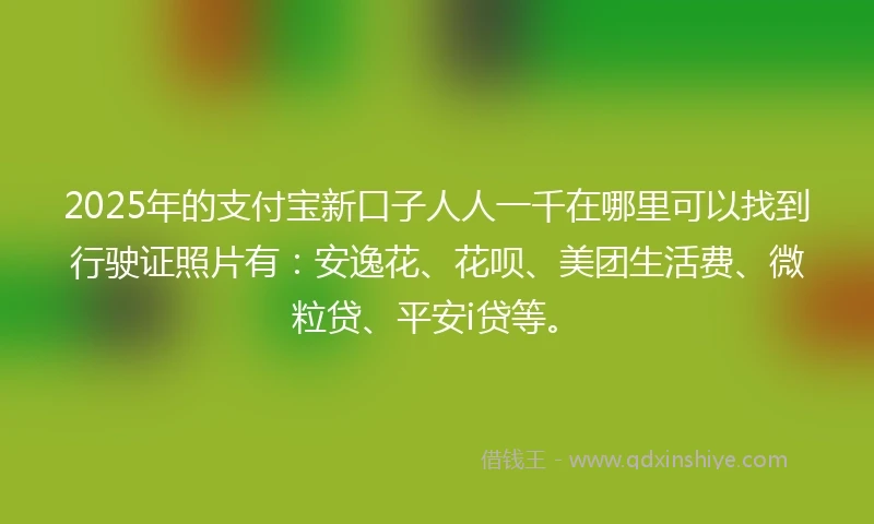 2025年的支付宝新口子人人一千在哪里可以找到行驶证照片有：安逸花、花呗、美团生活费、微粒贷、平安i贷等。