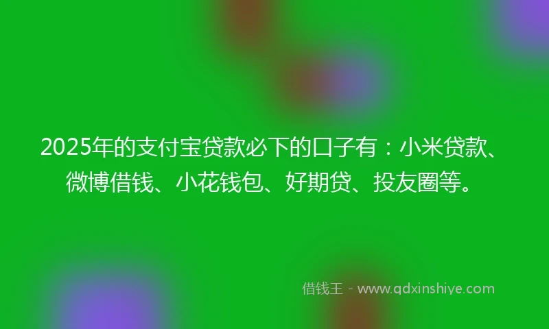 2025年的支付宝贷款必下的口子有：小米贷款、微博借钱、小花钱包、好期贷、投友圈等。