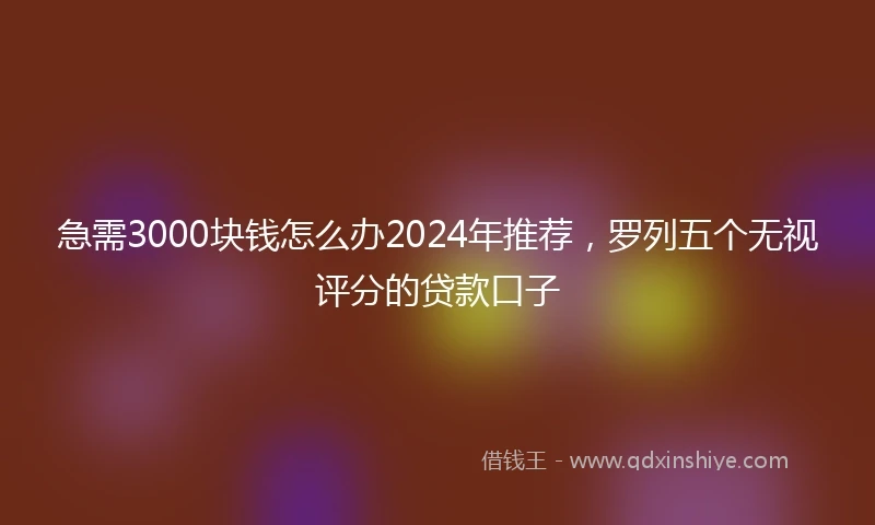 急需3000块钱怎么办2024年推荐，罗列五个无视评分的贷款口子