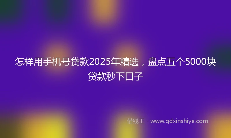 怎样用手机号贷款2025年精选，盘点五个5000块贷款秒下口子
