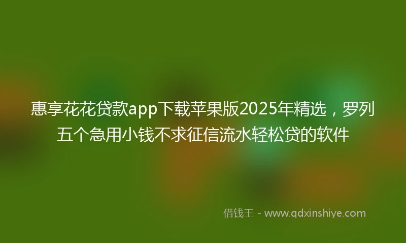 惠享花花贷款app下载苹果版2025年精选，罗列五个急用小钱不求征信流水轻松贷的软件