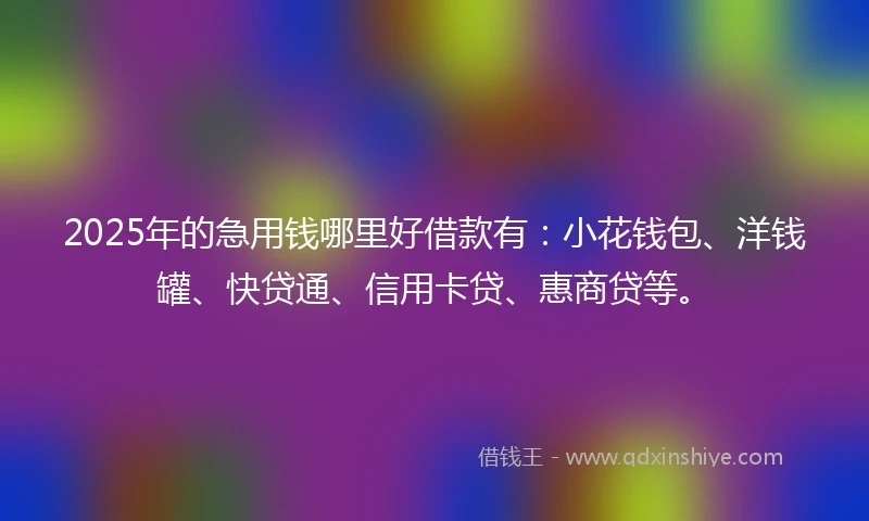 2025年的急用钱哪里好借款有：小花钱包、洋钱罐、快贷通、信用卡贷、惠商贷等。