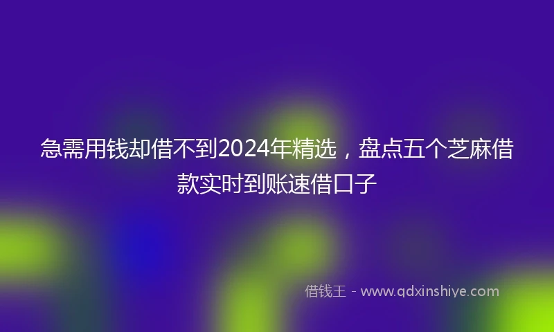 急需用钱却借不到2024年精选，盘点五个芝麻借款实时到账速借口子